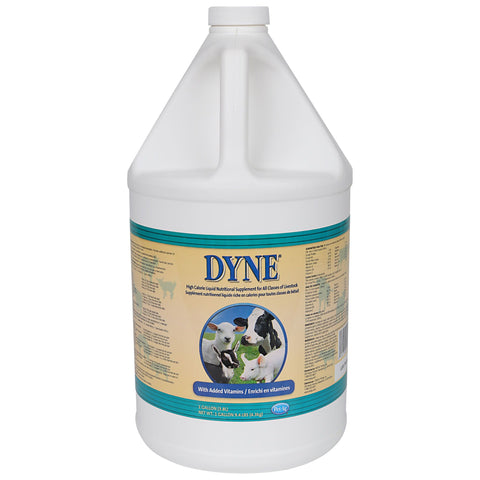 DYNE- High Calorie Supplement- Gal.