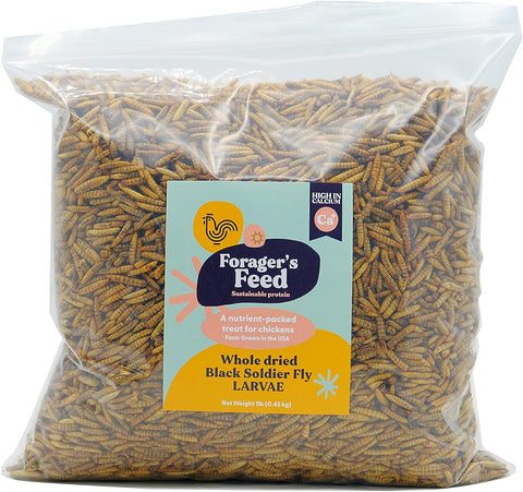 Durvet - Forager's Feed - Whole Dried Black Soldier Fly Larvae - 1 lb.